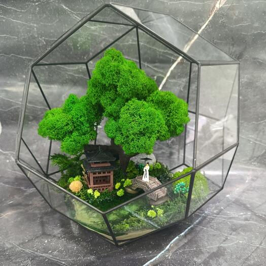 Моссариум XXL