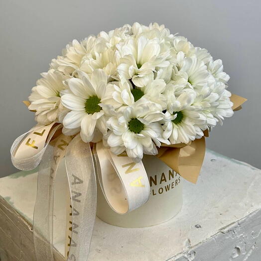 Коробка с хризантемой