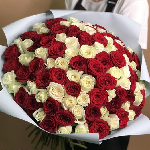 101 роза «Red and white»