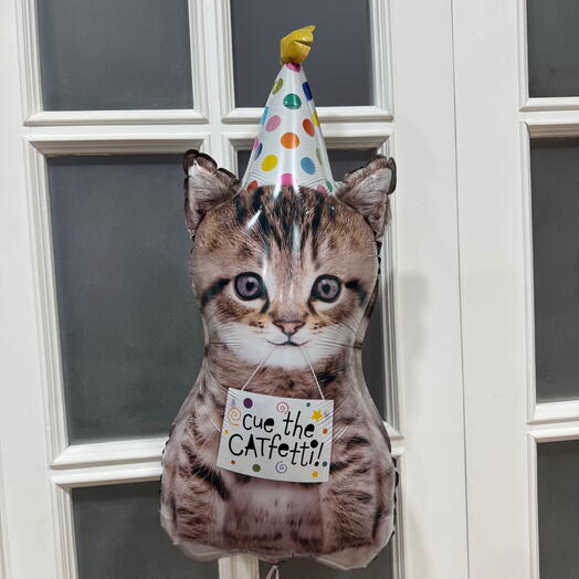 Воздушный шар день рождения кот гелий. Helium balloon Happy birthday cat
