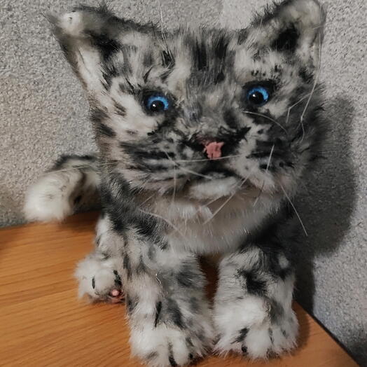 Дикий котёнок снежный барс реалистичная игрушка