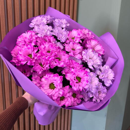 Хризантемы 5 шт. малиновые и сиреневые ромашки