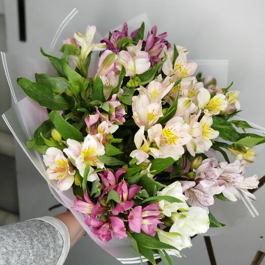Микс Альстромерия