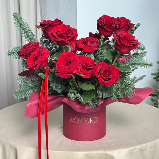 Зимняя компрзиция RED