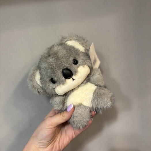 Милая коала