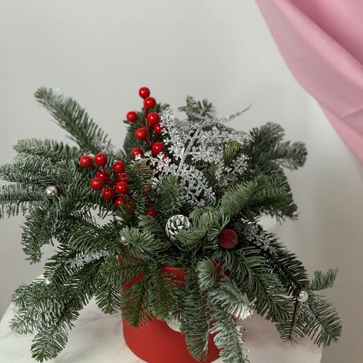 Новогодняя композиция из нобилиса