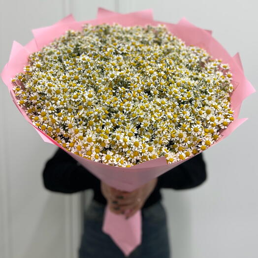 Букет из 101 ромашки