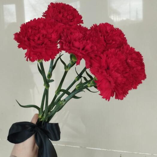 Траурный букет из 6 гвоздик