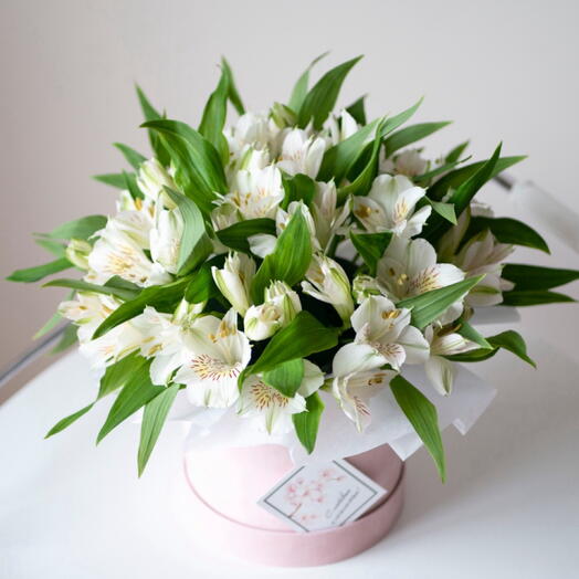 15 альстромерий в коробке