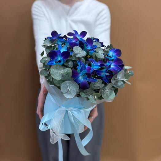 Орхидея в коробке «Космос»