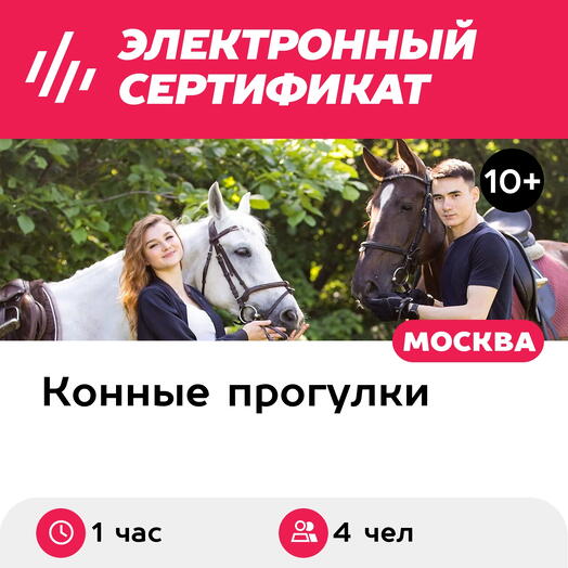 Подарочный сертификат Индивидуальная конная прогулка с инструктором, 4 чел. (1 час)