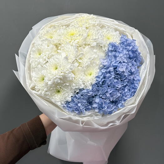 Хризантем и гортензия