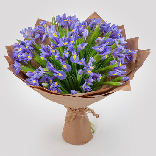 🌼🌼Букет из 49 премиум Ирисов 🌼🌼