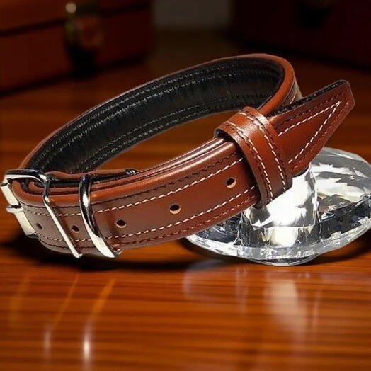 Ошейник цвета фундук