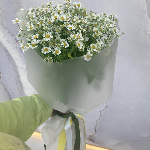 Нежные ромашки