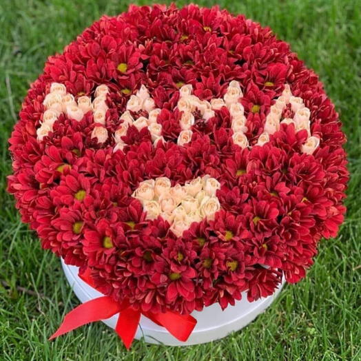 Красные хризантемы "мама" - 81 шт