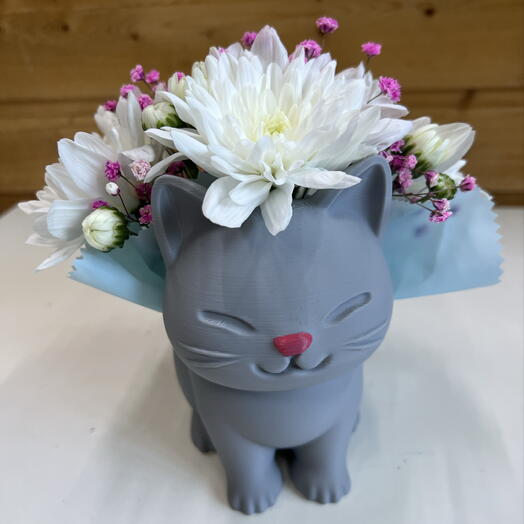 Котик серенький с хризантемой