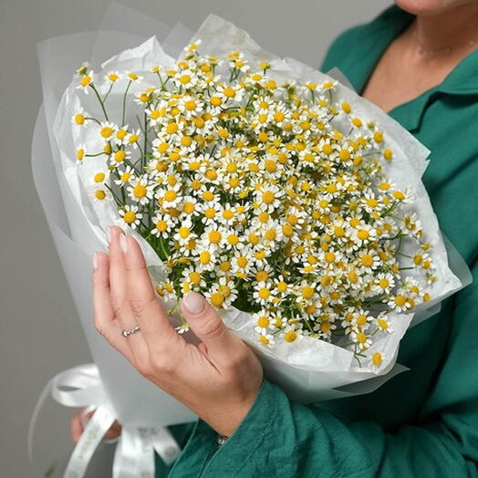 Букет из 15 ромашек матрикарий в корейской матовой пленке