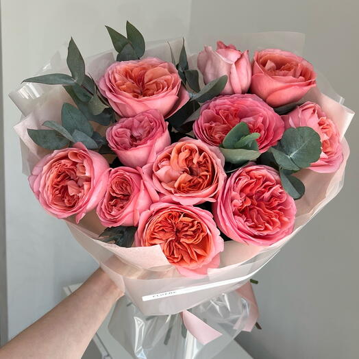 Роза Pink Expression