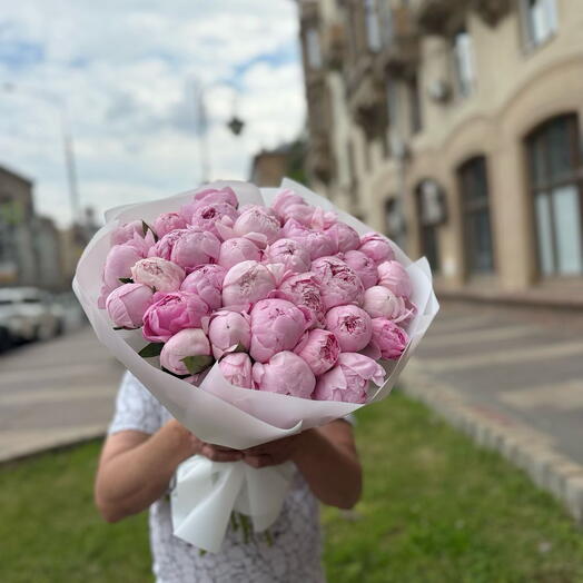 Букет пионов 33 штуки