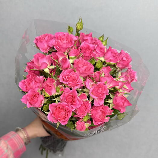 Пачка кустовых роз (10шт) фуксия 50 см