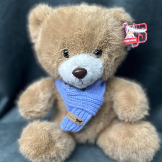 Плюшевый Мишка🐻