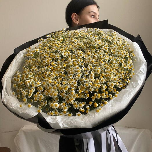 Букет из ромашек 1