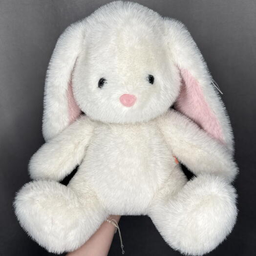 Заяц🐰
