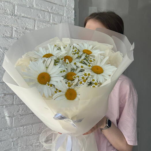 Ромашковое поле 🌼