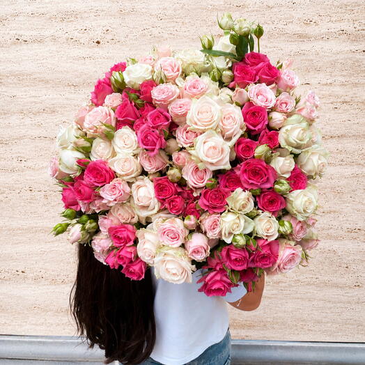 розы кустовые  pink dimention