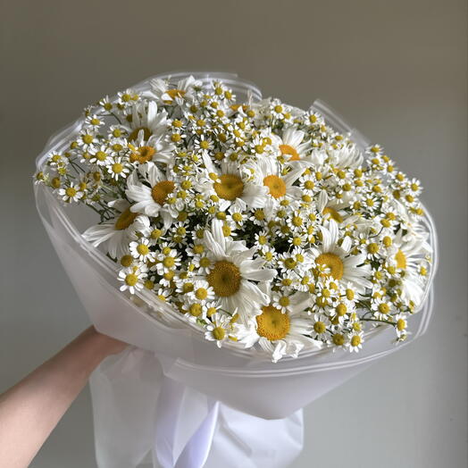 Ромашковая фиерия