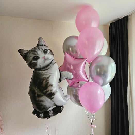 Фонтан из розовых, белых и серебряных шаров и котик,кошка, котенок,кот для девочки, дочки,женщины, девушки-11шаров