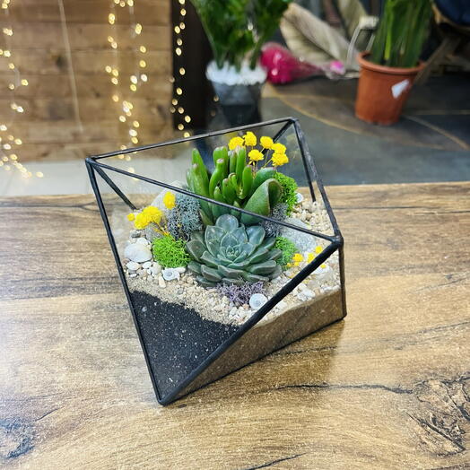 Florarium en forma triangular
