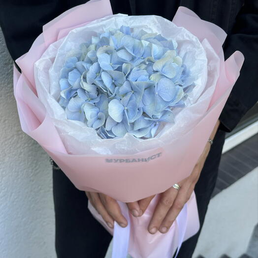 Гортензия небесного оттенка 💙