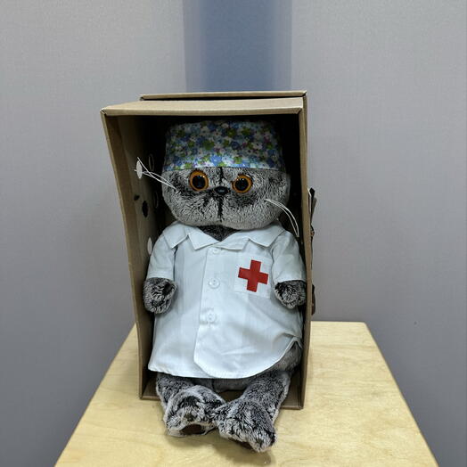 Кот Басик Доктор