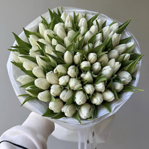 50 Tulip White Prince