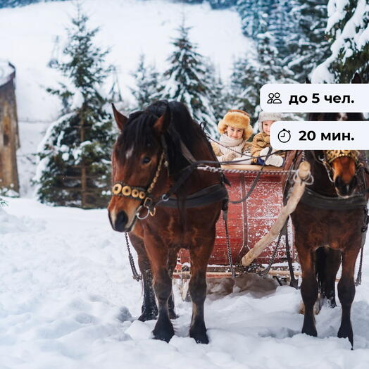 Волшебные моменты. Катание на санях