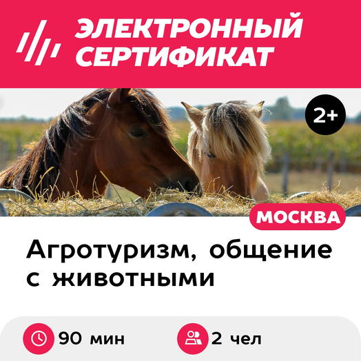 Подарочный сертификат Экскурсия в мир лошадей и мастер-класс для 1 взрослого и 1 ребенка