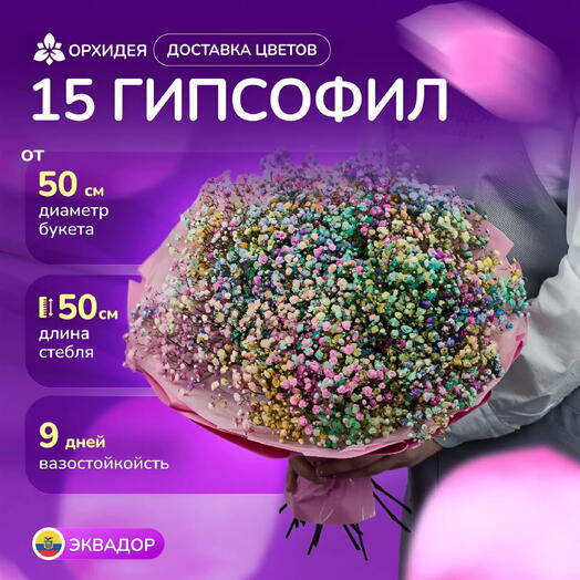 Букет 15 Гипсофил
