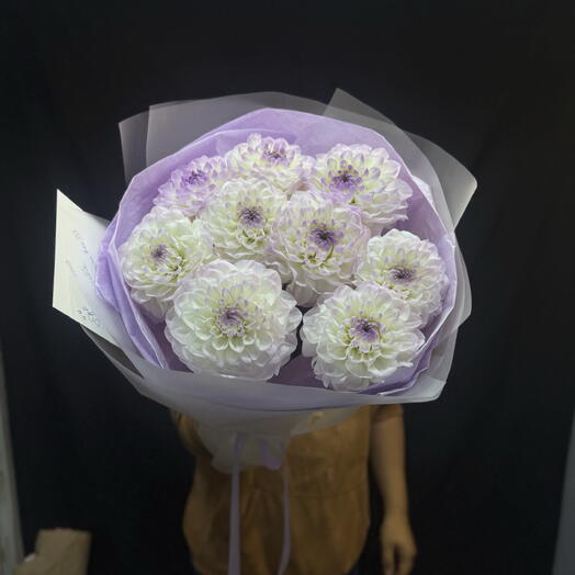 Георгины 9 шт 💜