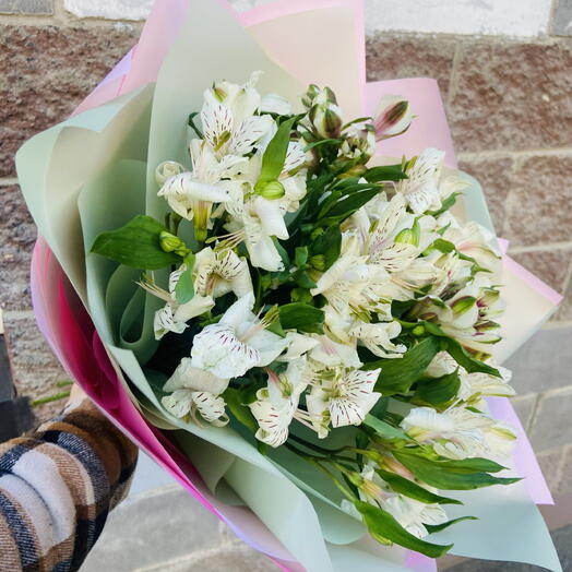 Букет из 11-ти белых альстромерий 💐