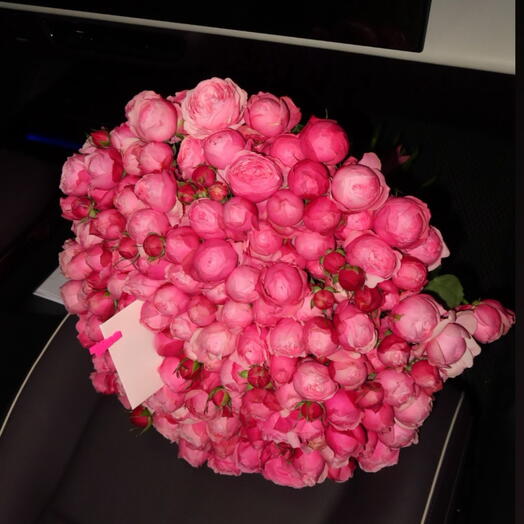 Grande Bloom