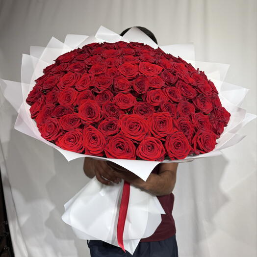 101 Роза классика 🌹️