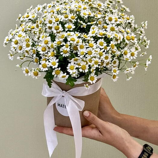 Композиция из 11 шт полевых ромашек ( камилла, танацетум, матрикария)