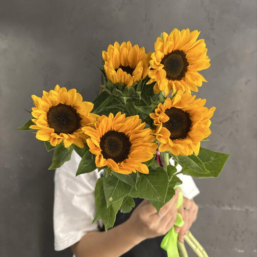 Подсолнухи по ленту🌻