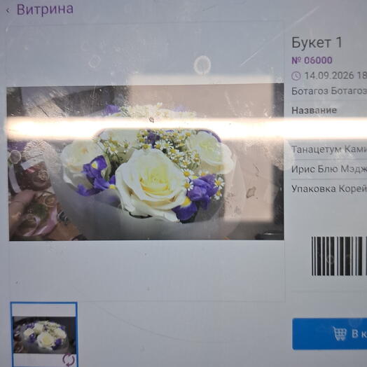 Моно Ирисы