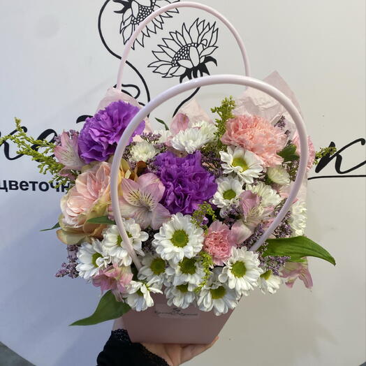 Композиция 323