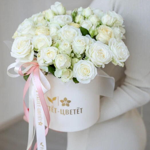 Arbustos de rosas Bielorrusia en Caja (S)