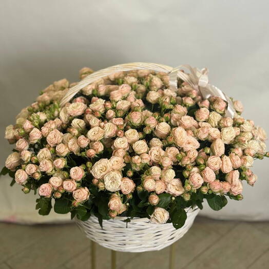 Корзина из беловатых кустовых роз