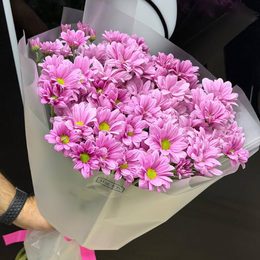 Lilas Eternel 💜